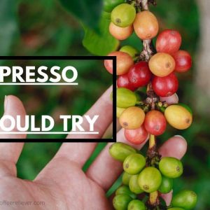 best espresso beans you should to try