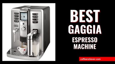 Gaggia 1003380 Accademia Espresso Machine,Silver
